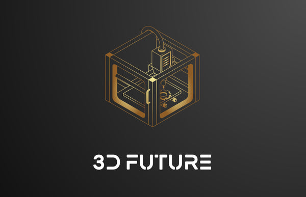 3D FUTURE